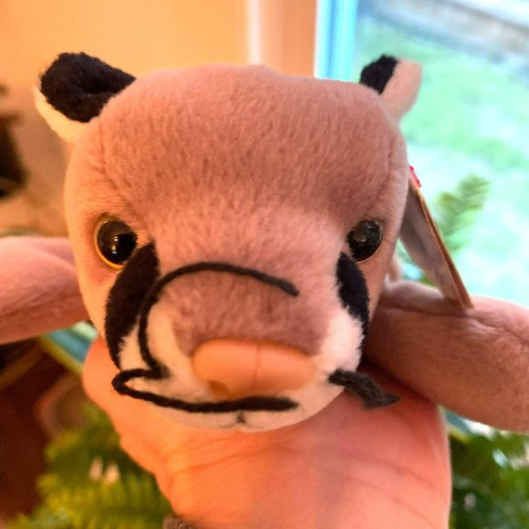 Ty Beanie Baby -  Canyon the Cougar - Style Number #04212 - Picture 2 of 8